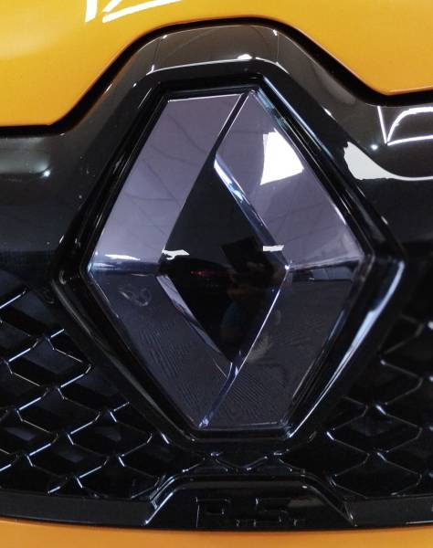 Protection logo voiture