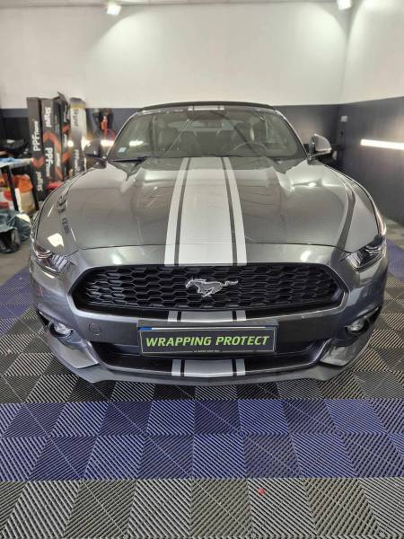 MUSTANG AVEC COVERING BANDES GRISES