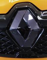 Protection logo voiture